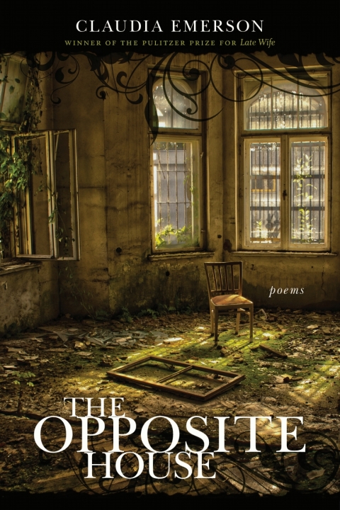 Cover image for book The Opposite House