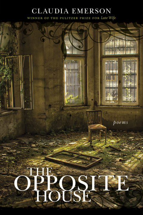 Cover image for book The Opposite House