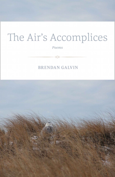 Cover image for book The Air's Accomplices