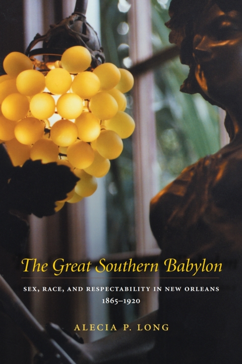 Cover image for book The Great Southern Babylon