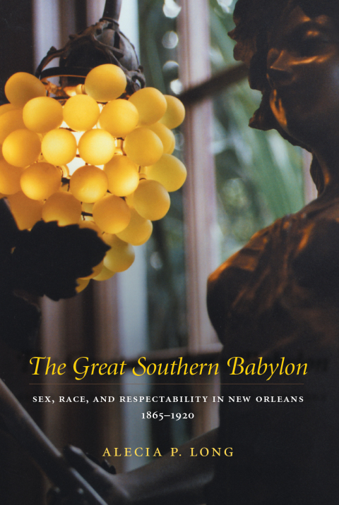 Cover image for book The Great Southern Babylon