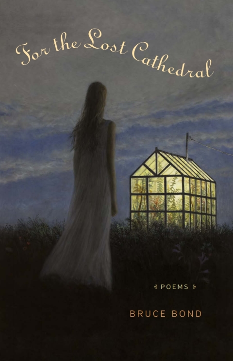 Cover image for book For the Lost Cathedral