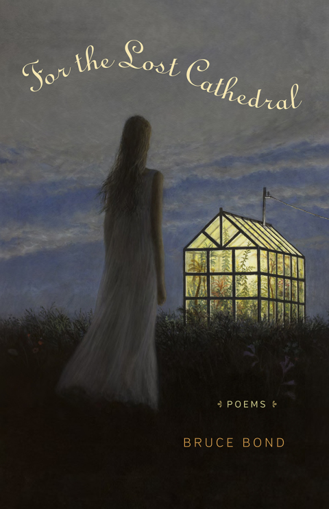 Cover image for book For the Lost Cathedral