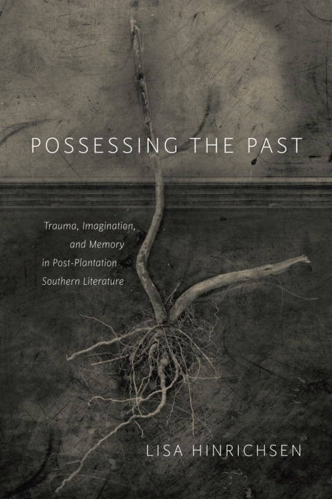 Cover image for book Possessing the Past
