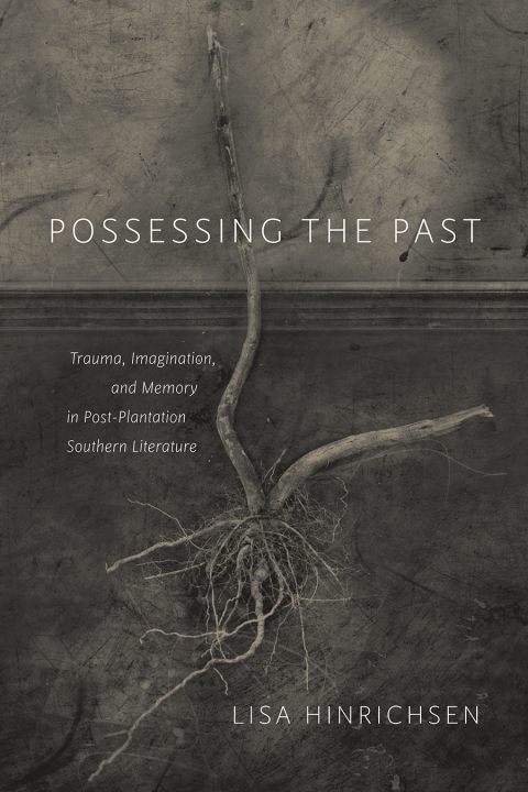 Cover image for book Possessing the Past