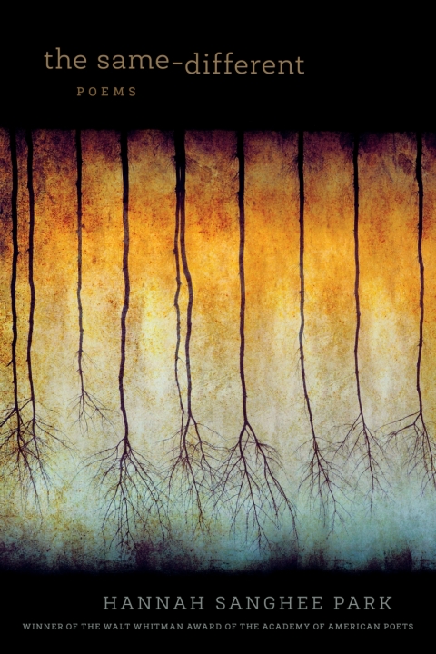 Cover image for book The Same-Different