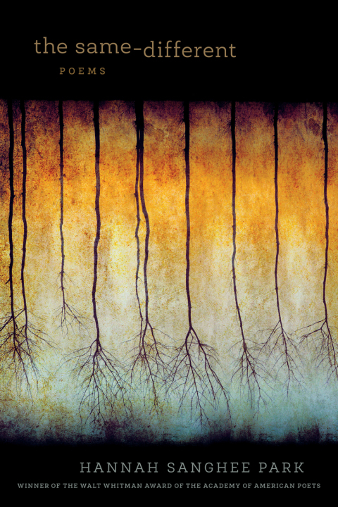 Cover image for book The Same-Different