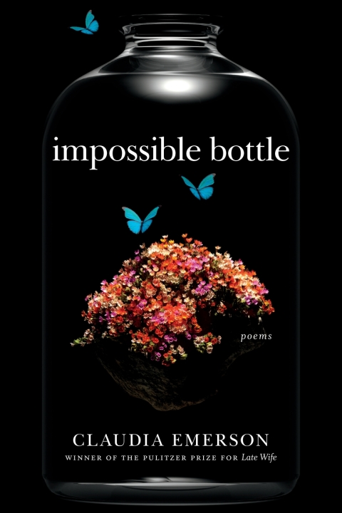 Cover image for book Impossible Bottle