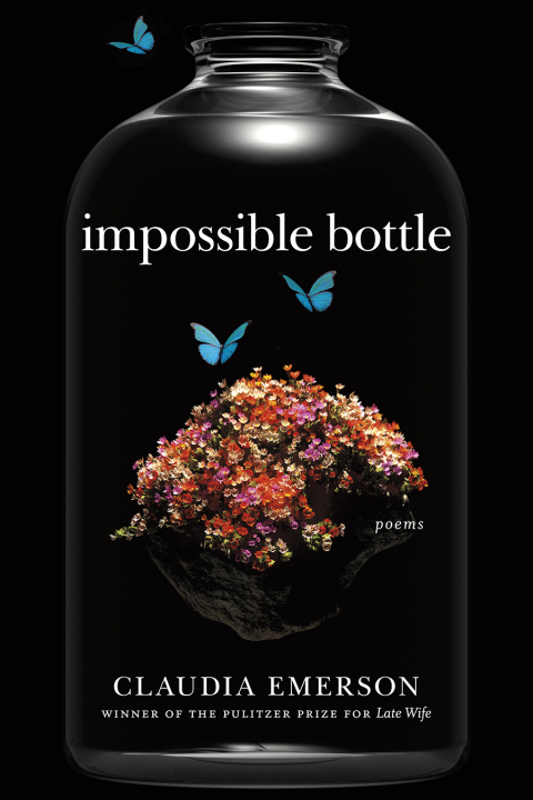Cover image for book Impossible Bottle