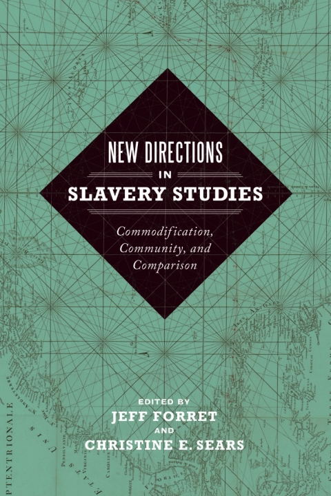 Cover image for book New Directions in Slavery Studies