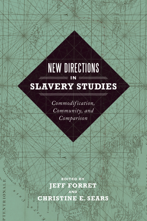 Cover image for book New Directions in Slavery Studies