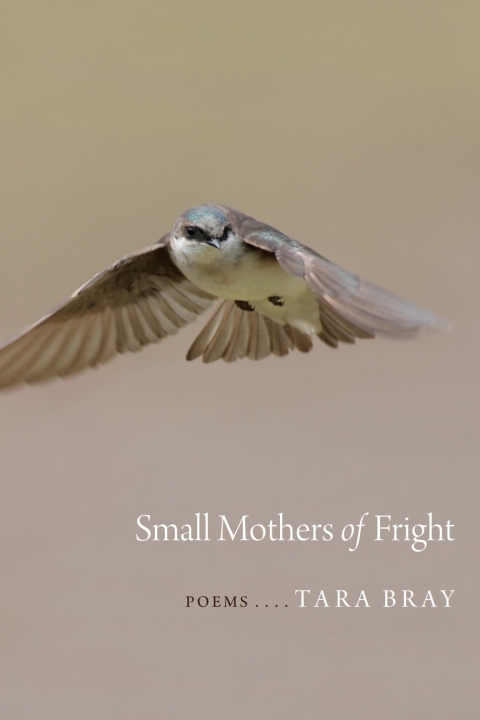 Cover image for book Small Mothers of Fright