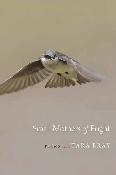 Cover image for book Small Mothers of Fright
