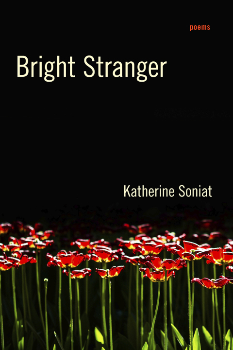 Cover image for book Bright Stranger