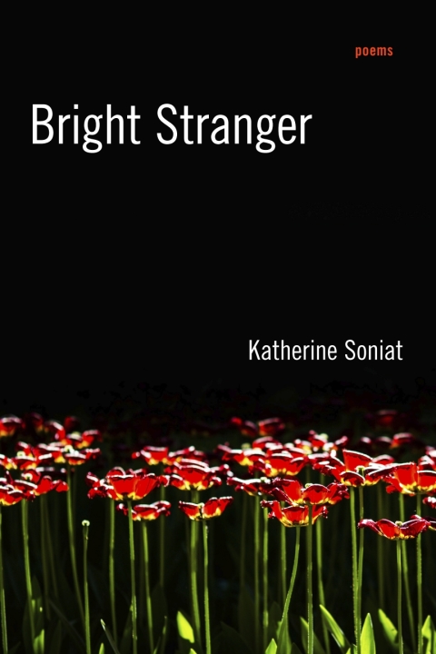 Cover image for book Bright Stranger