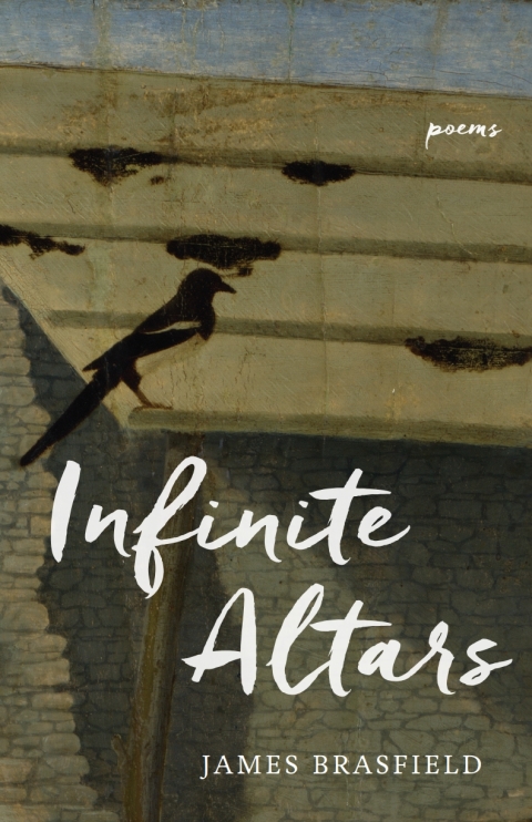 Cover image for book Infinite Altars