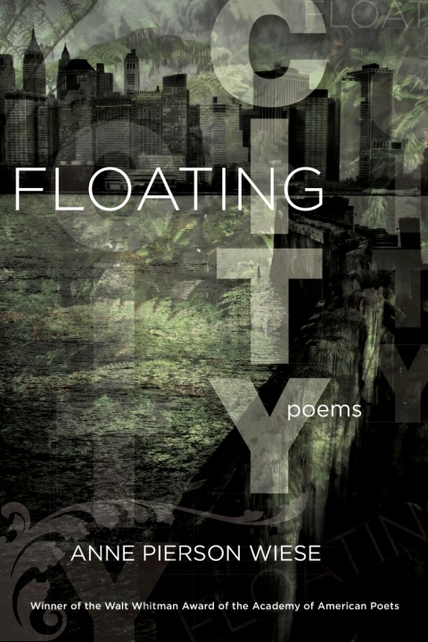 Cover image for book Floating City
