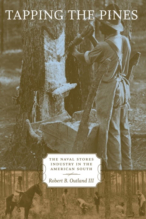 Cover image for book Tapping the Pines