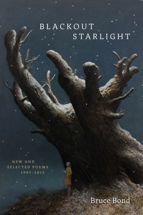 Cover image for book Blackout Starlight