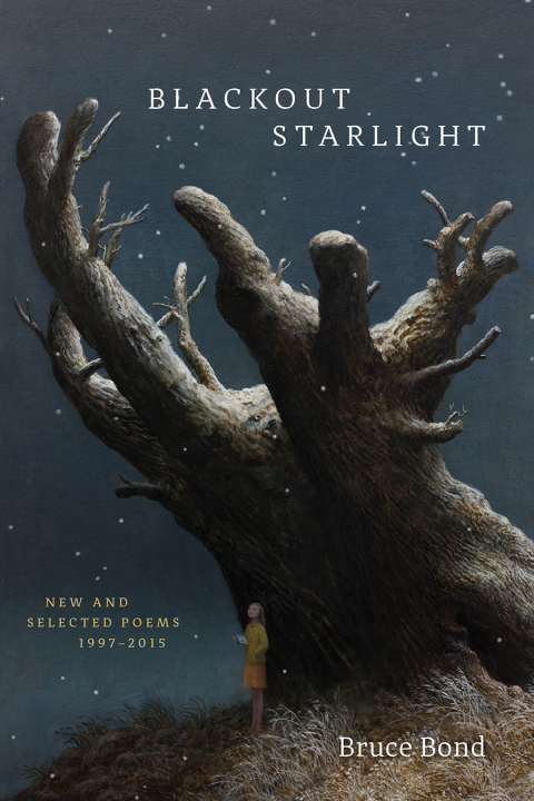 Cover image for book Blackout Starlight