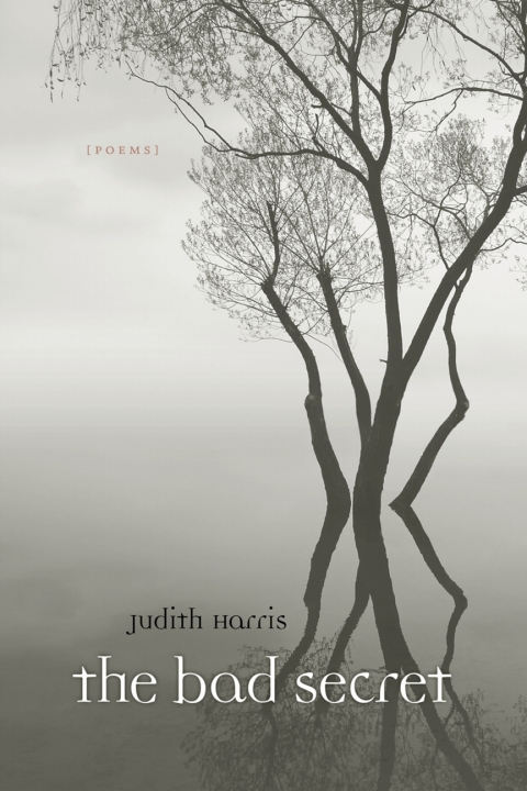 Cover image for book The Bad Secret