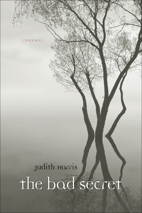 Cover image for book The Bad Secret