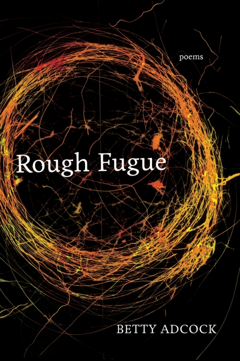 Cover image for book Rough Fugue