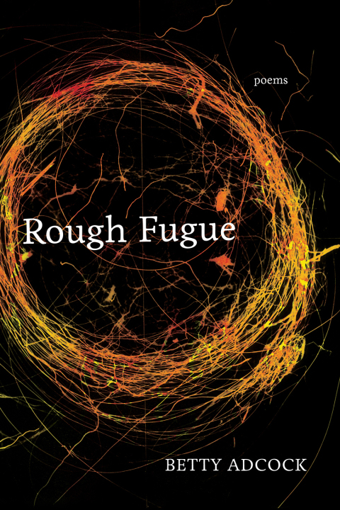 Cover image for book Rough Fugue