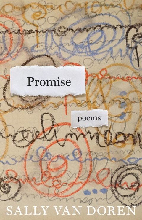 Cover image for book Promise