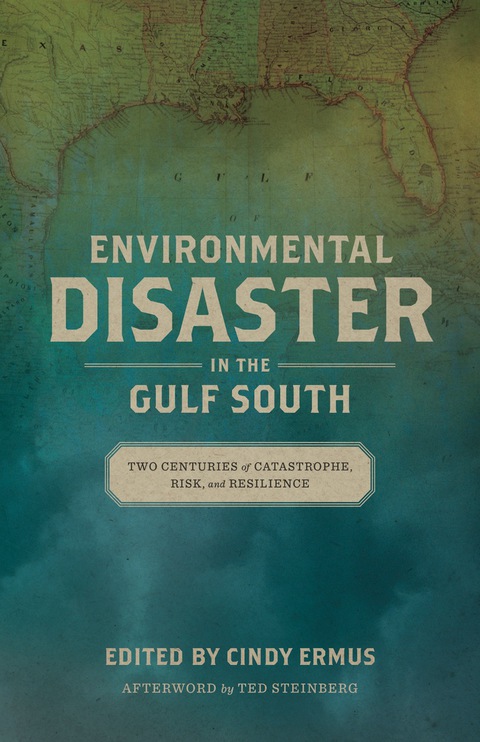 Cover image for book Environmental Disaster in the Gulf South