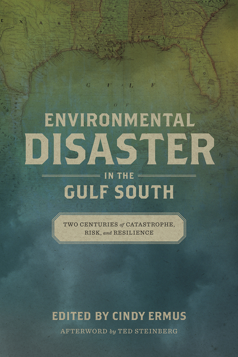 Cover image for book Environmental Disaster in the Gulf South
