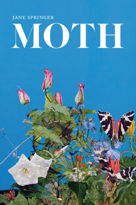 Cover image for book Moth