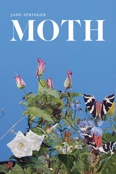 Cover image for book Moth