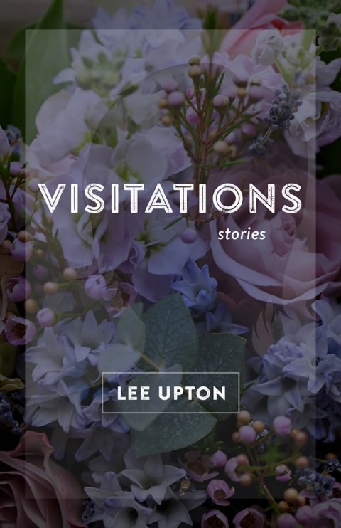 Cover image for book Visitations