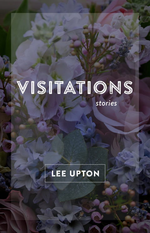 Cover image for book Visitations