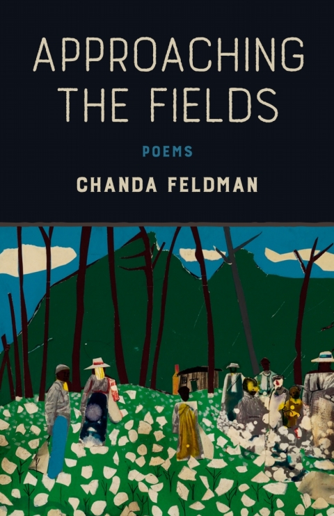 Cover image for book Approaching the Fields