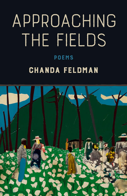 Cover image for book Approaching the Fields
