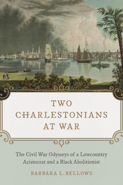 Cover image for book Two Charlestonians at War