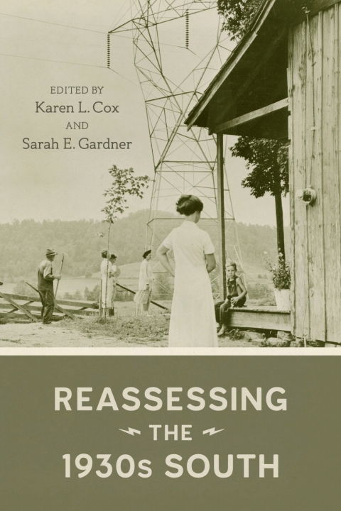 Cover image for book Reassessing the 1930s South