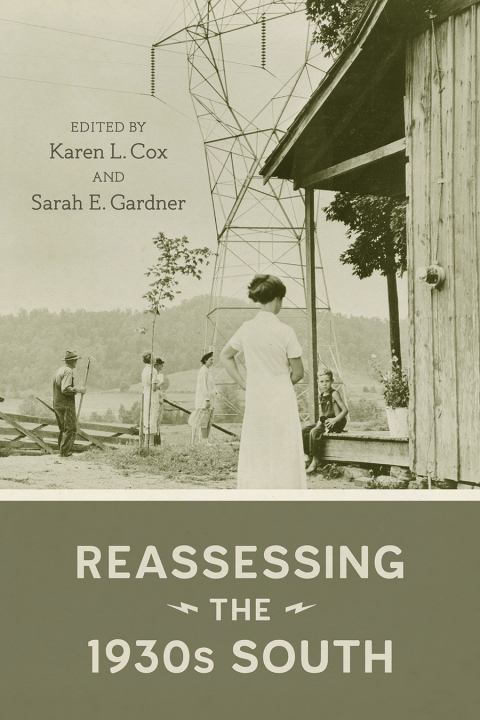 Cover image for book Reassessing the 1930s South