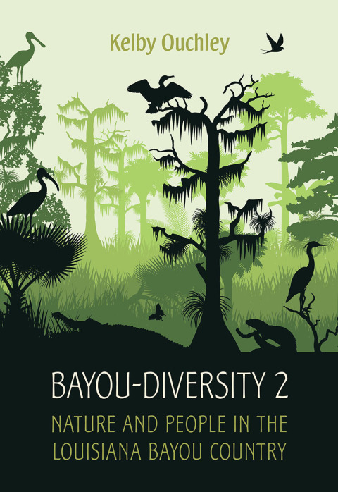 Cover image for book Bayou-Diversity 2
