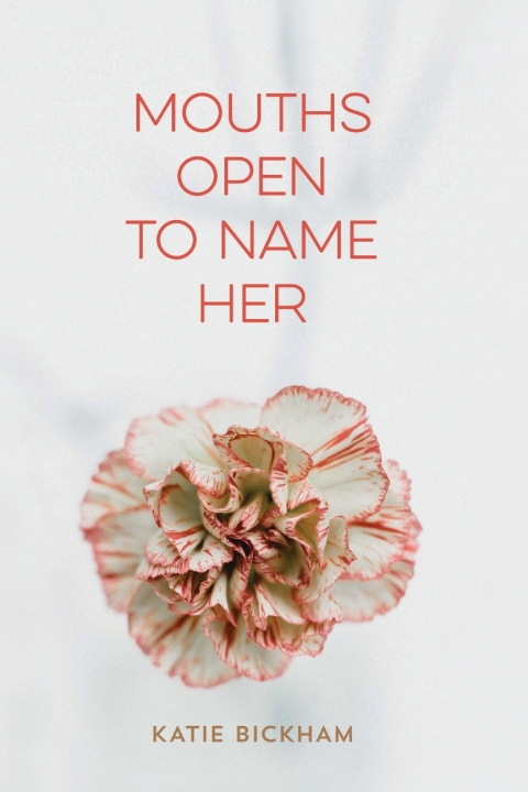 Cover image for book Mouths Open to Name Her