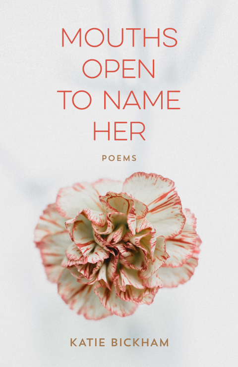 Cover image for book Mouths Open to Name Her