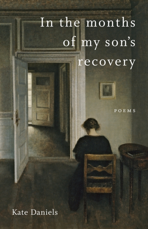 Cover image for book In the Months of My Son's Recovery