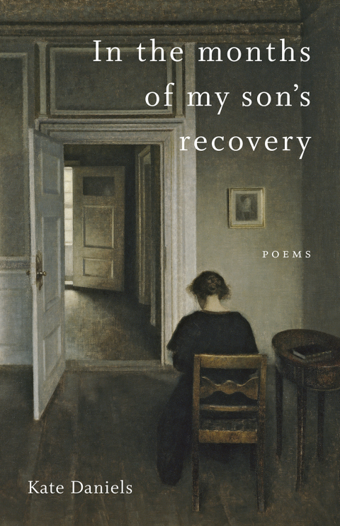 Cover image for book In the Months of My Son's Recovery