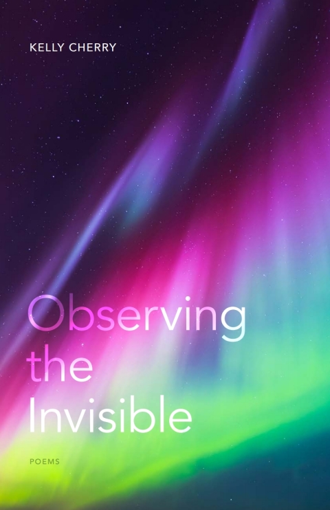 Cover image for book Observing the Invisible