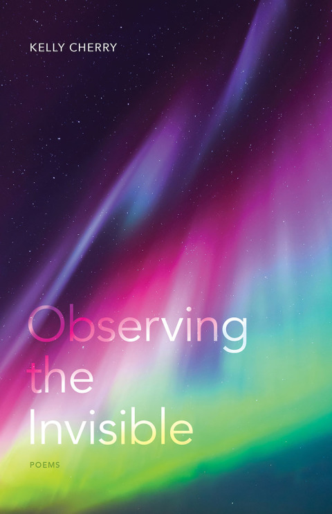 Cover image for book Observing the Invisible