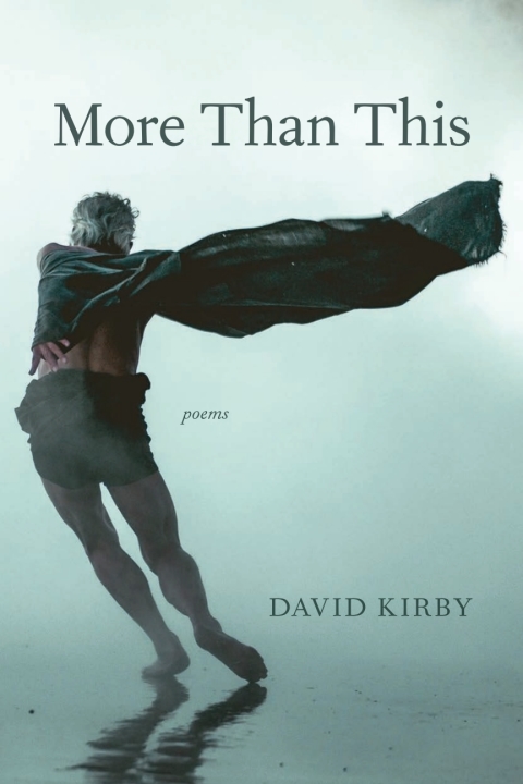 Cover image for book More Than This