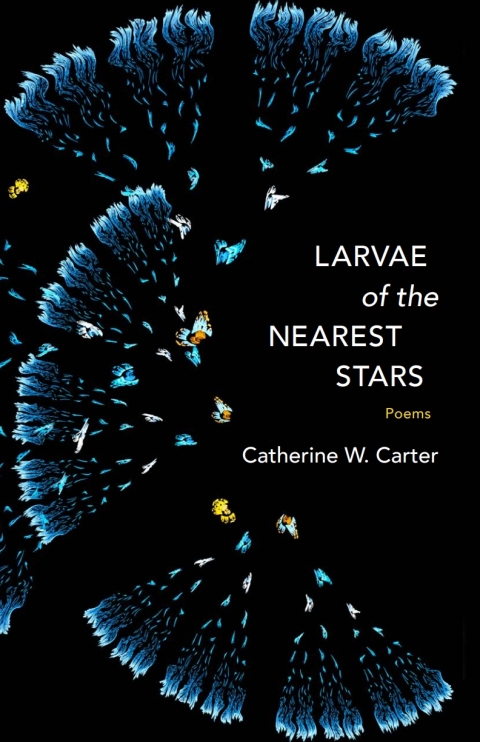 Cover image for book Larvae of the Nearest Stars