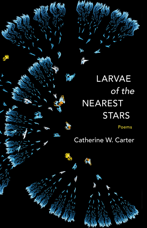 Cover image for book Larvae of the Nearest Stars